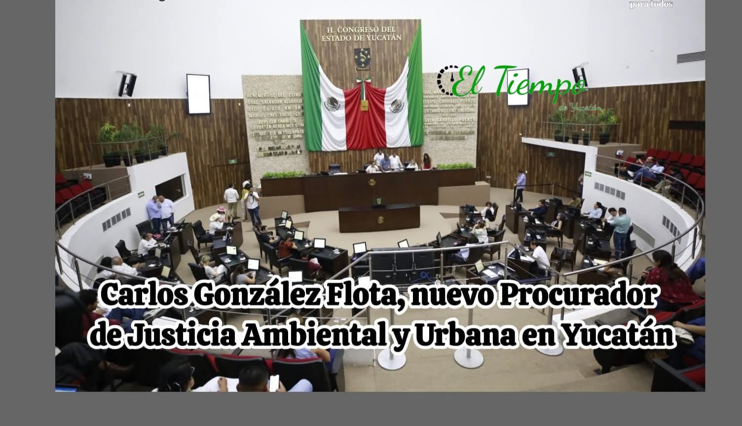 Títular-de-la-Procuraduría-de-Justicia-Ambiental-y-Urbana