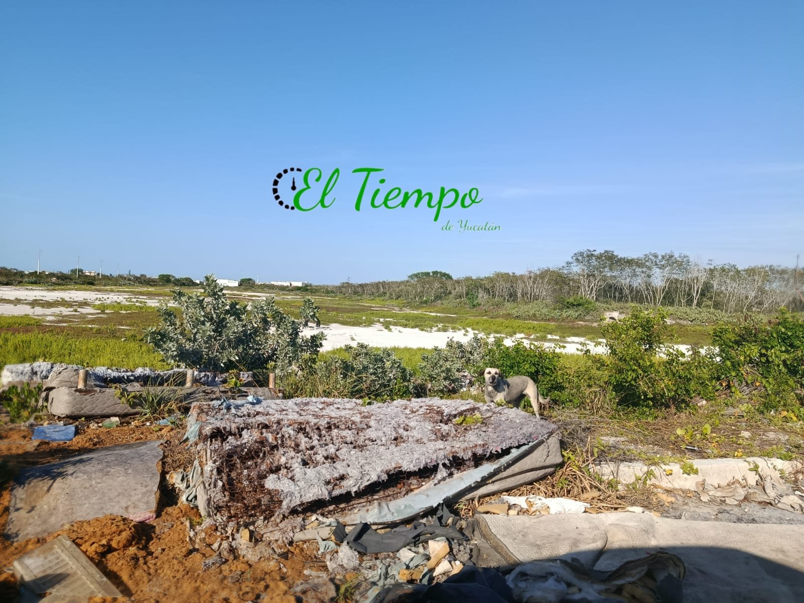 TERRENOS-RELLENADOS-HACE-MEDIO-SIGLO-EN-YUCALPETEN